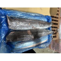 �~�i�~�J�S�J�}�X�t�B���[�i��T�����j�@600-800��((10kg�E1�^kg))