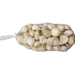 �嗱�o���w���������炩�݂ɂ�ɂ��x