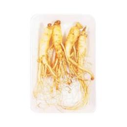 参鶏湯用水蔘1kg