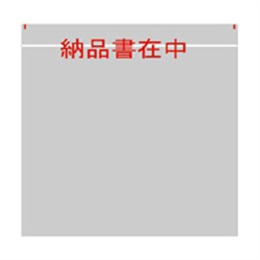 PEのり付袋（L－703）納品書在中 2000枚（135x155（20）mm）