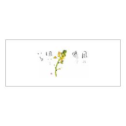 ★箸マットV971菜の花100枚