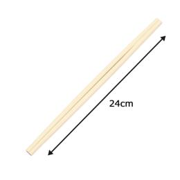 | v x 9 24cm 100V(100VE1)