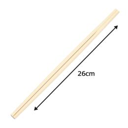 | v x 26cm 100V(100VE1)
