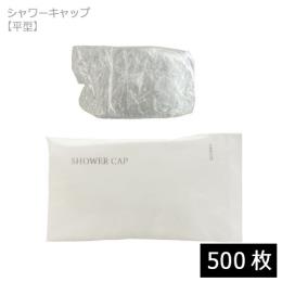 V[Lbv ^  500(500E1)