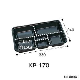 KP-170  t^t 200ZbgidqWsj(200ZbgE1)