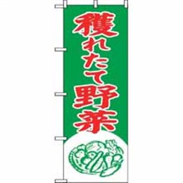 のぼり 2247 穫れたて野菜