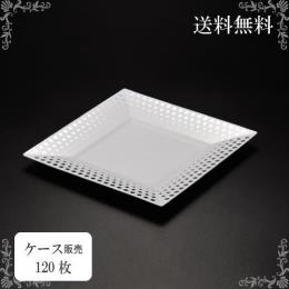 ES-01 pM 21cm 120(120E1)