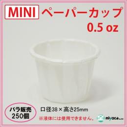 MINIy[p[Jbv 0.5oz 250(250E1)