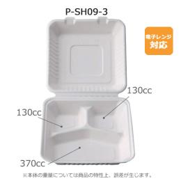 ٓe P-SH09-3 200 yԕisz(200E1)