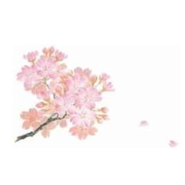 箸置マット　桜