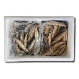 いわな（丸もの）/新潟魚沼産