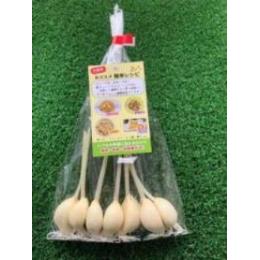 スプラウトにんにく（発芽）　大阪の植物工場産