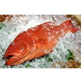 沖縄産【アカジンミーバイ（スジアラ）】沖縄の最高級魚！旨みが濃い！