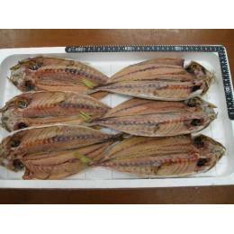 【相模湾産】アカゼムロアジ干物　6枚入 原魚で約250g～300gサイズ使用