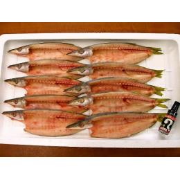 【相模湾産】赤かます干物 （60g～80g）　10枚 x 6合