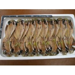 ■【相模湾産】真あじ干物《原魚で約60g～80g》　20枚入x 6合