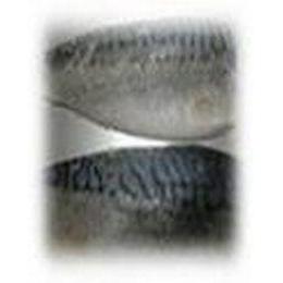  Ђ((110g~10x10܁E1^C/S))