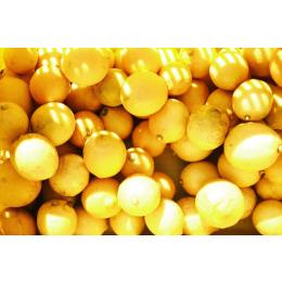 �L���������Y������