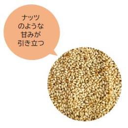 ނ^CvS}1kg((1kgE1^))