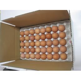 ゆずたま　業務用　８０個