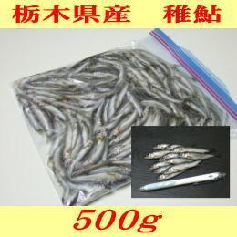 稚　鮎　500g（約100～150尾）