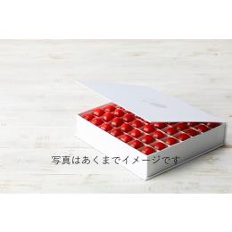 OSMIC FIRST QUEEN バラ 7000円/kg