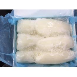 むき紋甲イカ　１ｋｇ/8～12尾入り