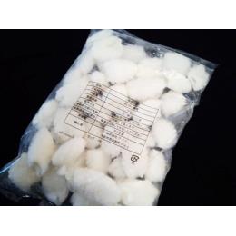 松笠イカ　１ｋｇ入り