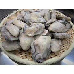 冷凍カキ　Lサイズ　広島県産