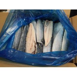 冷凍 【塩味加工】 サバ フィーレ ３０枚   ５ｋｇ入り