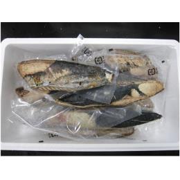 炭焼カツオタタキ 3kg 箱売り