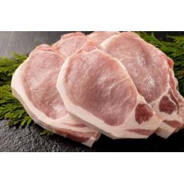 �C�x���R�؃��[�X�i�X�y�C���j