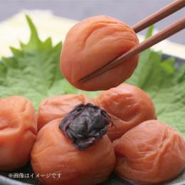 紀州南高梅 うめぼし しそ漬け 塩分8％ 1kg