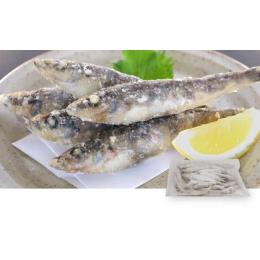 ���Y���q�J���̓��g��