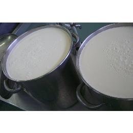 Ƃ낭@R[Q((500E1^PC))