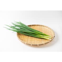 京都府産九条ネギ（業務用1㎏～）