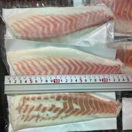 【数量限定】真鯛（養殖）ロイン　鮮度良好　１ｋｇ