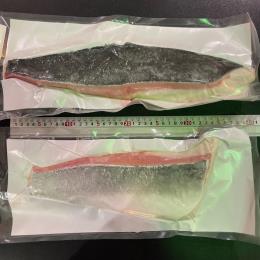 【不定貫】【数量限定】ブリ（養殖）ロイン皮付き　生食用