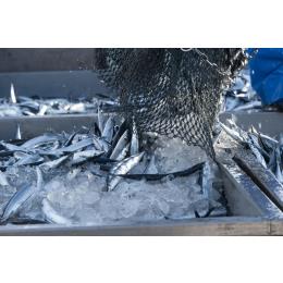 �k�C���Y�@�X����������܁i�������ς݁j�@3��180��((3����180���E50�E1�^��))