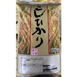 コシヒカリ　【九州】