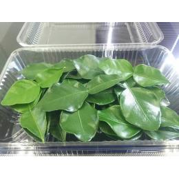 ���Y�R�u�~�J���̐��t�i�o�C�}�b�N���j�I�ʕi25g