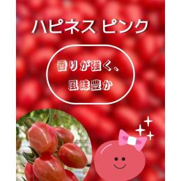 ���ꂵ��A�O������@�n�s�l�X�~�j�g�}�g�@�s���N�@130g�p�b�N