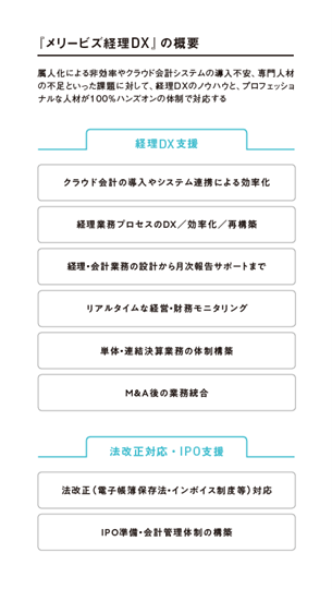 メリービズ経理DXの概要