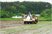降雨量が少なく、日照量が多いなど恵まれた自然環境