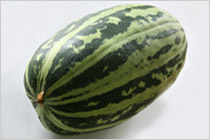 農薬・化学肥料を極力使わずに育てた野菜で。