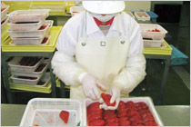 鮮度の高い卵巣だけを目利きで仕入れています!