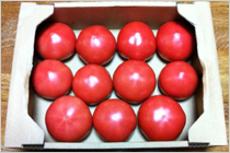 熟してから収穫。味も栄養価も抜群です