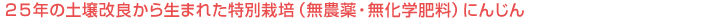 QTN̓yǂ琶܂ꂽʍ͔|i_Ew엿jɂ񂶂